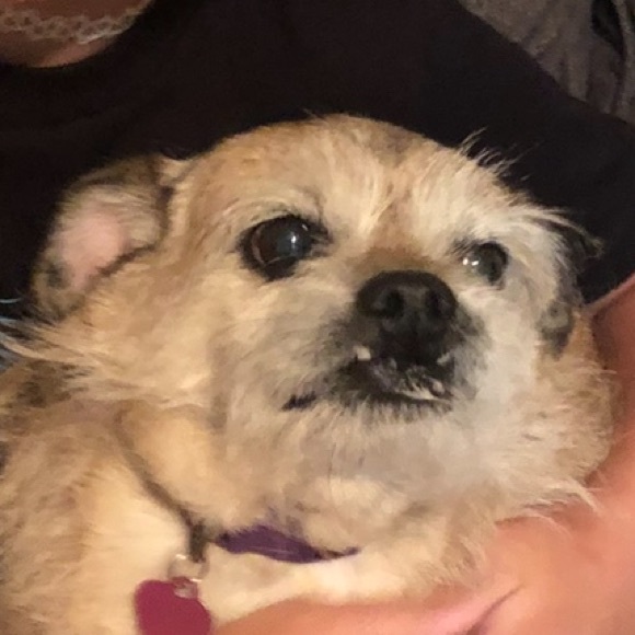 💕I’M LIVE💕 Like Listing to Get Notified! - Picture 8 of 9